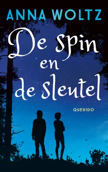De spin en de sleutel Beste Prijs