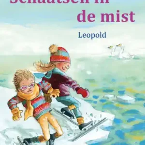 Aanbieding Schaatsen in de mist