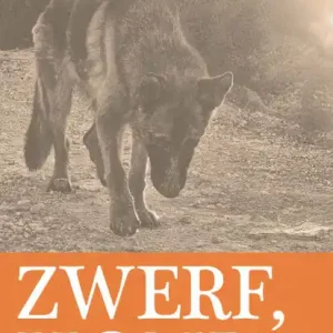 Zwerf, Hond. Gecertificeerd