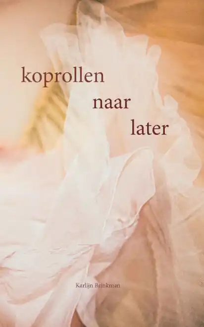 Betaalbaar koprollen naar later