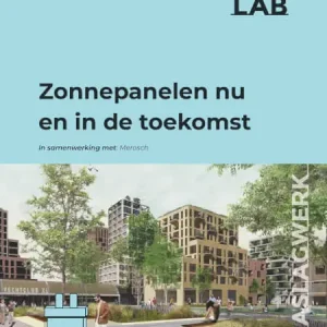 Zonnepanelen nu en in de toekomst Gereduceerde Prijs