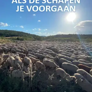 Als de schapen je voorgaan Speciale Aanbieding