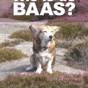 Wie is de BAAS? Hete Deal