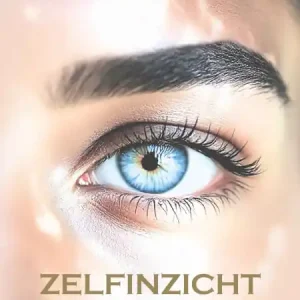 Zelfinzicht Goedkoop