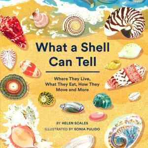 What A Shell Can Tell Uitverkoop
