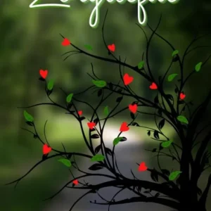 Zorgliefde Koop Vandaag