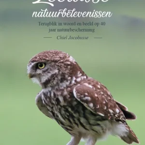 Zeeuwse natuurbelevenissen Goedkoop
