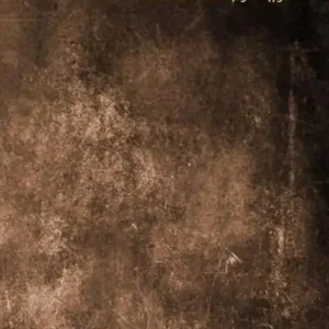 Wetsgeschiedenis strafrecht: artikel 424 tot 480 Sr Hoge Kwaliteit