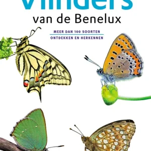 Zakgids Vlinders van de Benelux Koop Vandaag