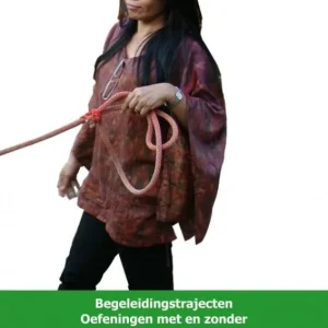 Begeleidingstrajecten Oefeningen met en zonder paarden Exclusieve Aanbieding