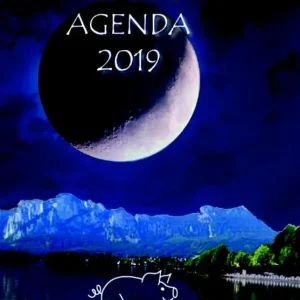 Alleen Vandaag Maanagenda 2019