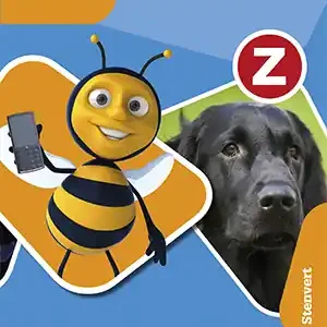 Alleen Vandaag Werkboek