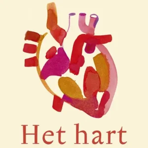 Aanbieding Het hart