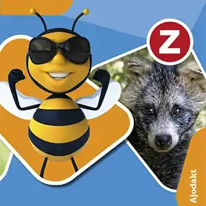 Z-taal Puzzelen met woordenschat Werkboek groep 7 Koop Vandaag