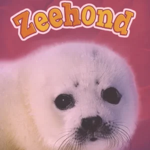 Zeehond Hoge Kwaliteit