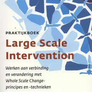 Beperkte Voorraad Praktijkboek large scale intervention