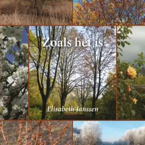 Zoals het is Lage Kosten