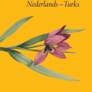 Woordenboek Nederlands-Turks Tijdelijk Beschikbaar