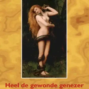 2 Heel de gewonde genezer Nu Kopen