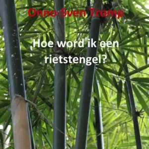 Aanbieding Hoe word ik een rietstengel?