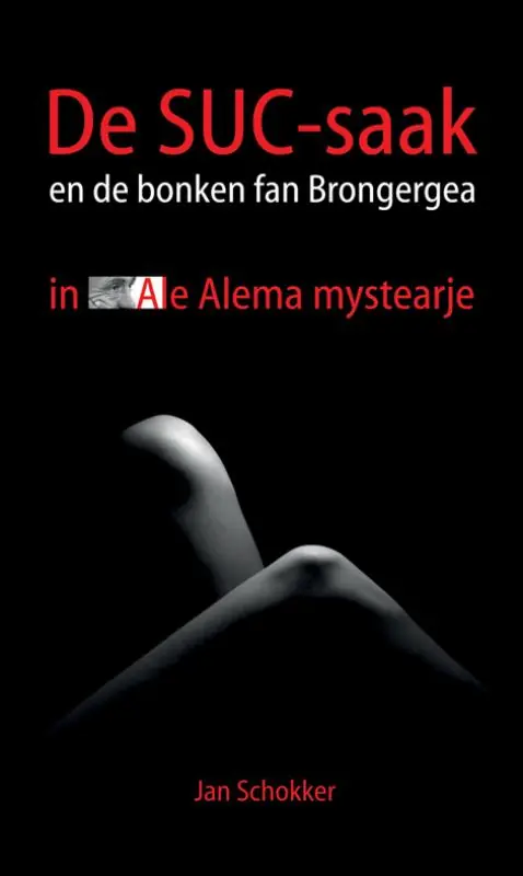 De SUC-saak en de bonken fan Brongergea Bestseller