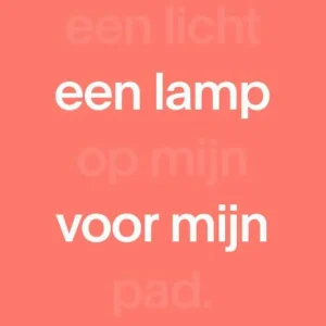 Aanbieding NBV21 Midsize Paperback