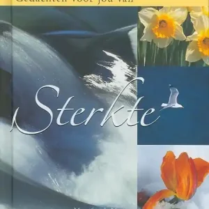 Gedachten voor jou van Sterkte Hoge Kwaliteit