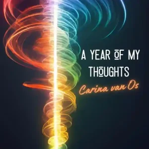 Veilige Betaling A year of my thoughts