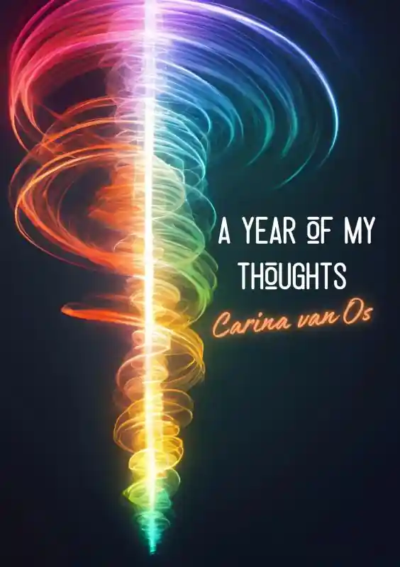 Veilige Betaling A year of my thoughts