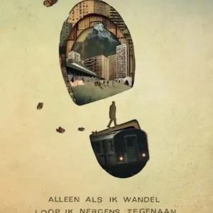 Voordeelprijs Alleen als ik wandel loop ik nergens tegenaan