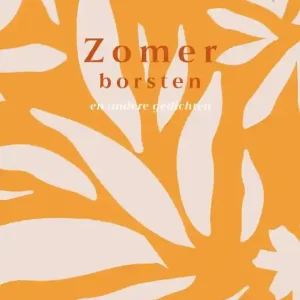 Betaalbaar Zomerborsten