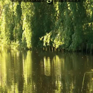 Zomaar gedicht Gratis Retour