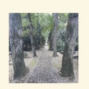 Gratis Verzending Troostversjes