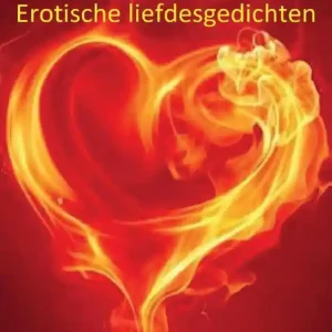 Betaalbaar Passie en Vuur