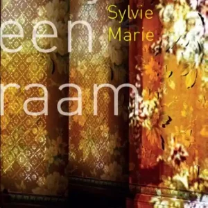 Altijd een raam Lage Prijs