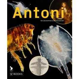 Antoni Tijdelijk Beschikbaar